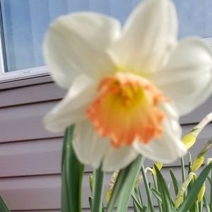 Meet your Posher, Olin